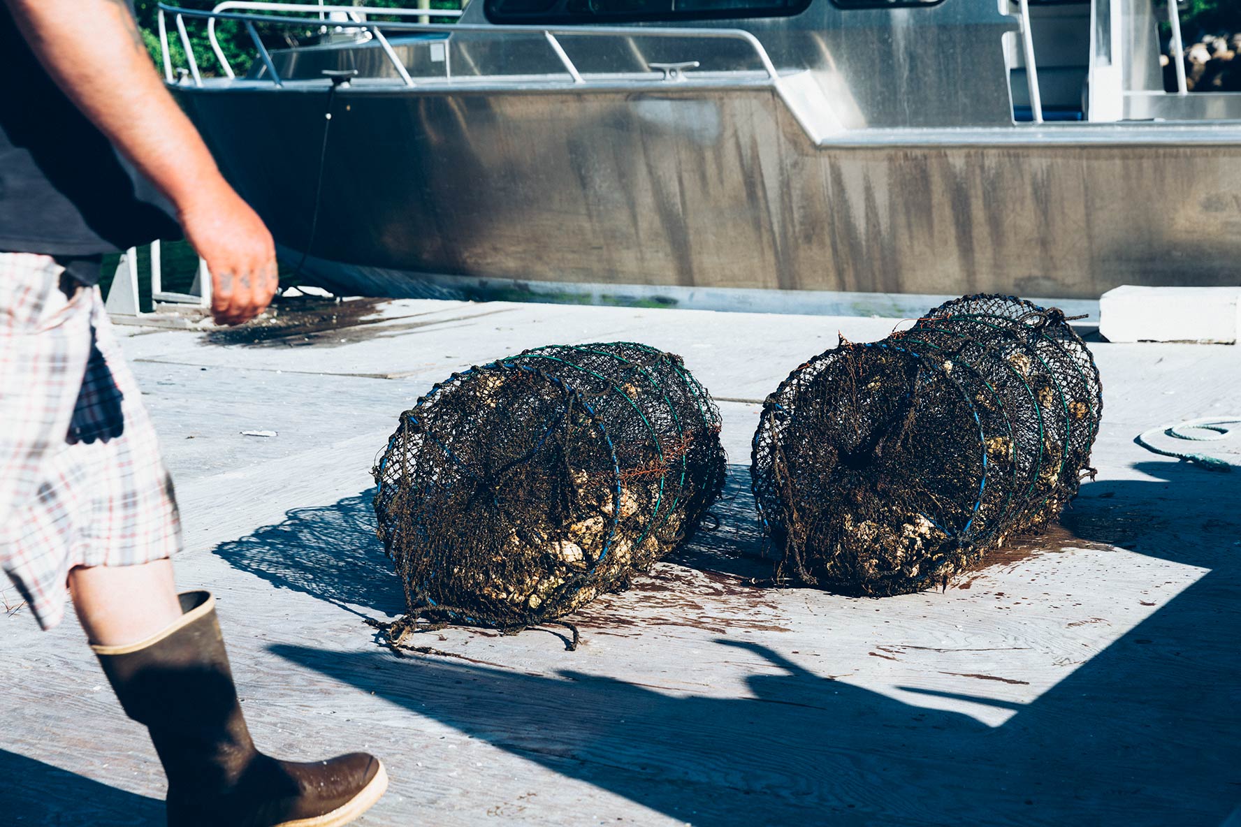 Fishers Island Oysters