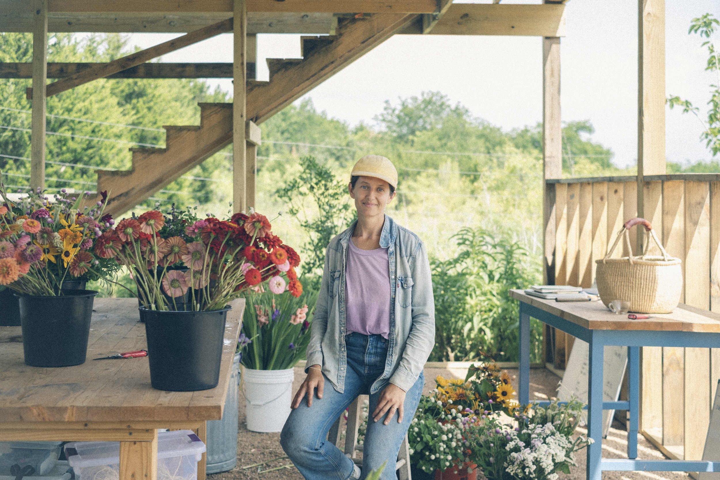 Cassiopeia Flower Farm